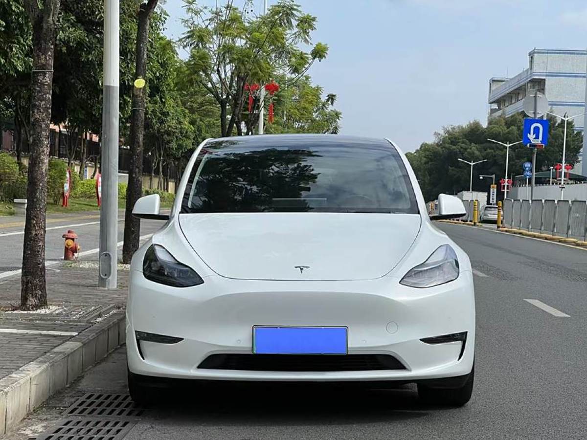 2022年6月特斯拉 Model 3  2022款 改款 長(zhǎng)續(xù)航全輪驅(qū)動(dòng)版