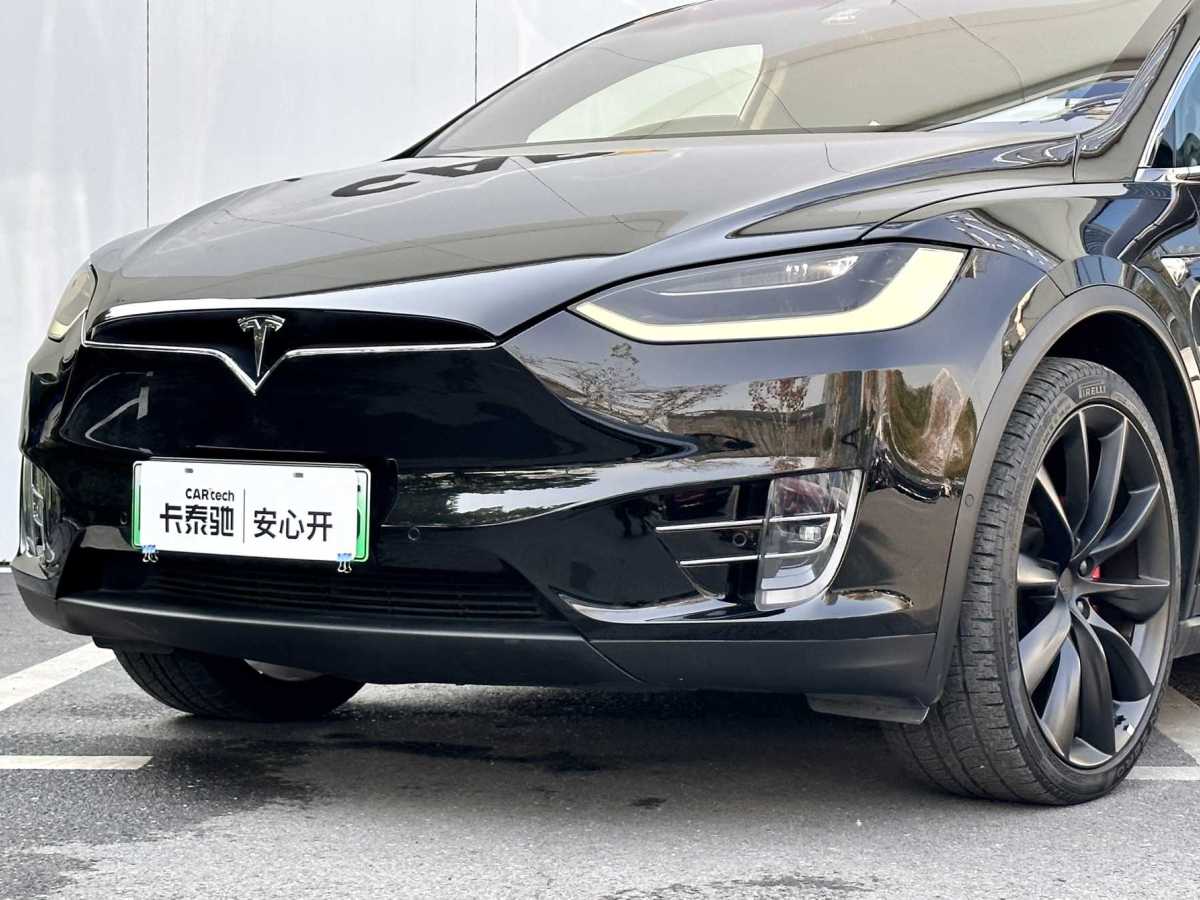 特斯拉 Model X  2019款 Performance 高性能版圖片