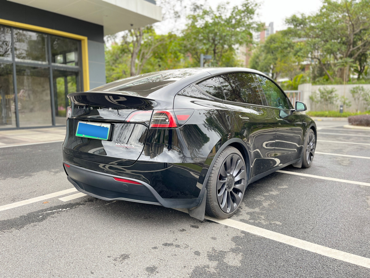 特斯拉 Model Y  2022款 Performance高性能全轮驱动版图片