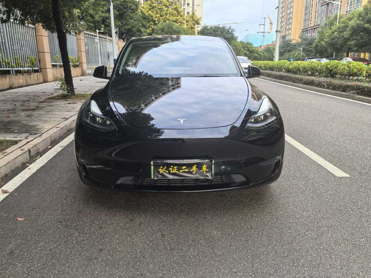 特斯拉 Model Y  2021款 改款 標準續(xù)航后驅(qū)升級版圖片