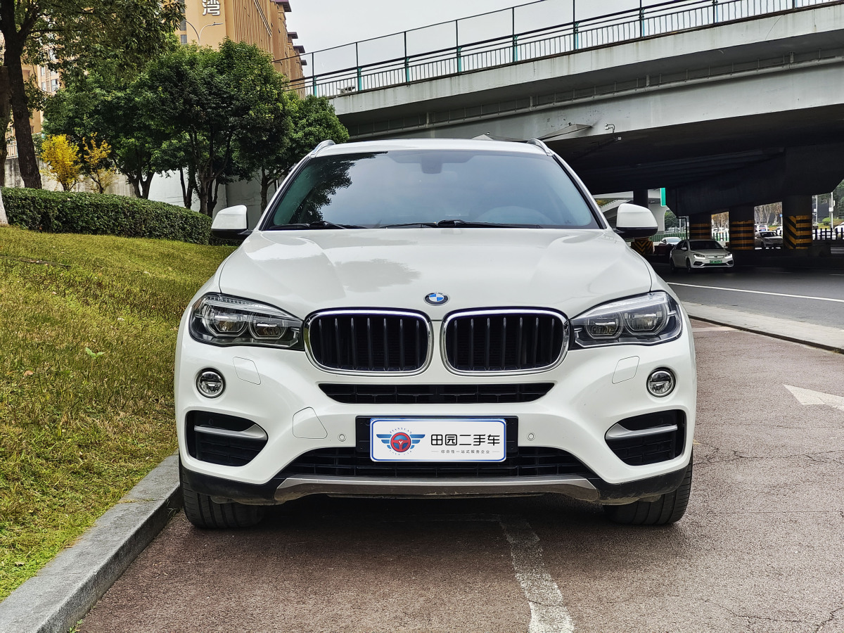 寶馬 寶馬X6  2018款 xDrive35i 領(lǐng)先型圖片