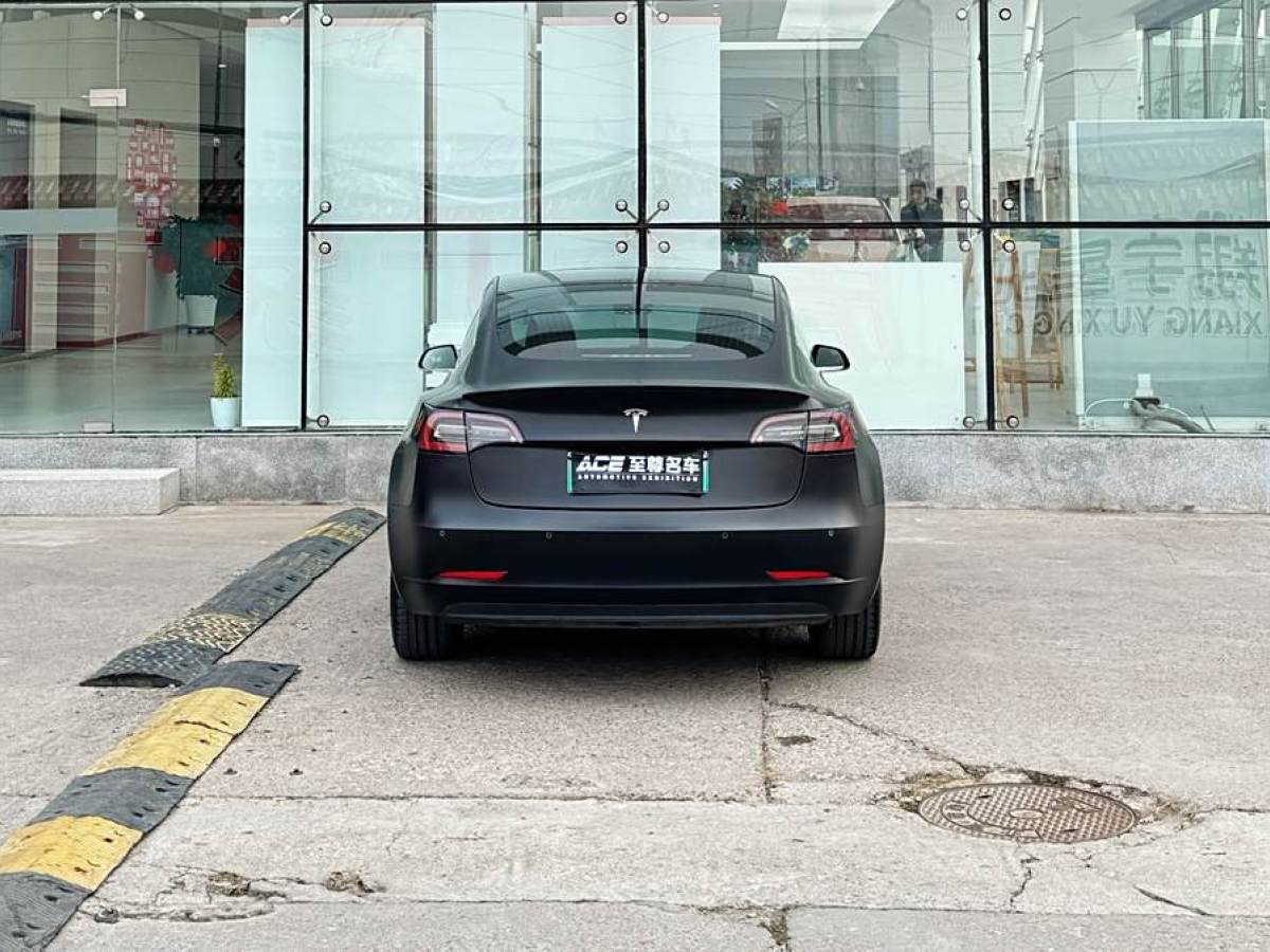 特斯拉 Model 3  2020款 改款 標準續(xù)航后驅升級版圖片