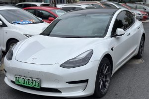 Model 3 特斯拉 標(biāo)準(zhǔn)續(xù)航后驅(qū)升級(jí)版