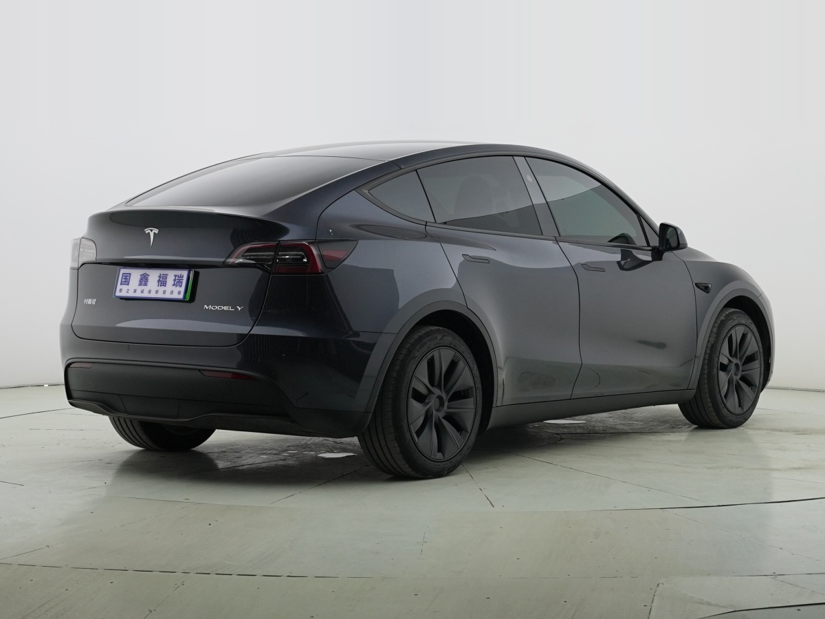 2024年6月特斯拉 Model Y  2020款 改款 長續(xù)航后輪驅(qū)動(dòng)版