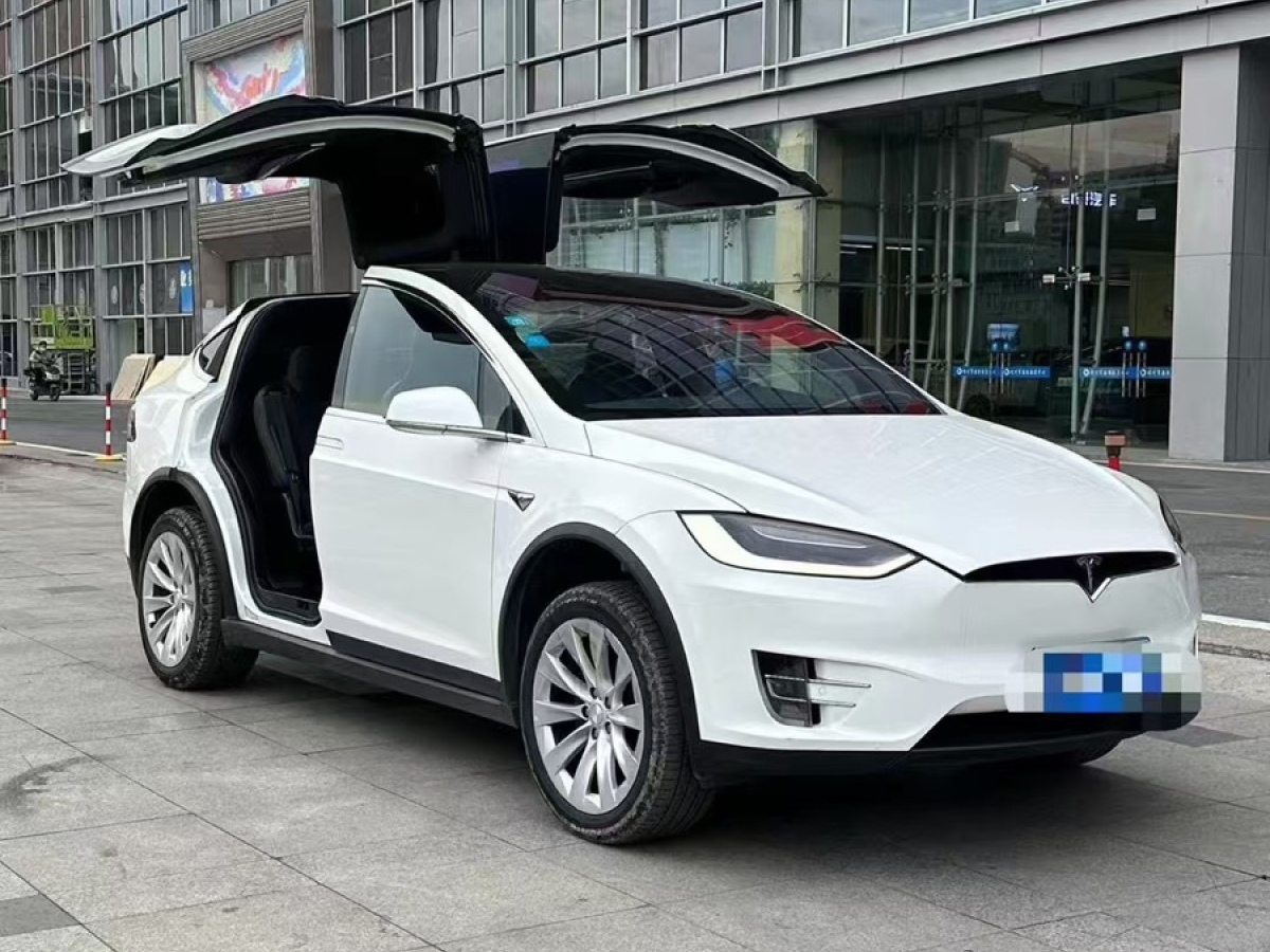 特斯拉 Model X  2017款 Model X 100D 長(zhǎng)續(xù)航版圖片