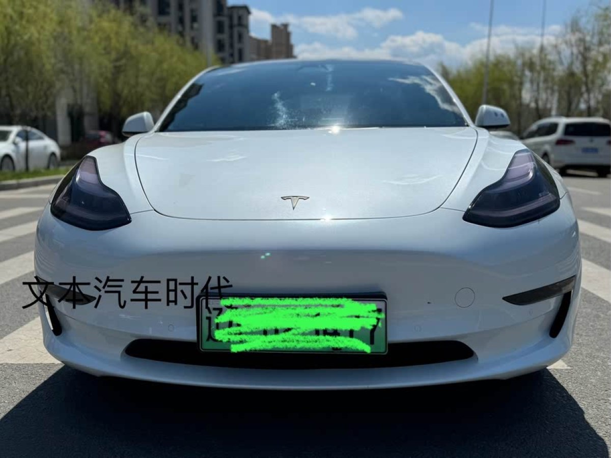 特斯拉 Model 3  2020款 改款 長(zhǎng)續(xù)航后輪驅(qū)動(dòng)版圖片