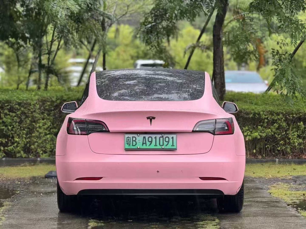 特斯拉 Model 3  2020款 標(biāo)準(zhǔn)續(xù)航后驅(qū)升級(jí)版圖片