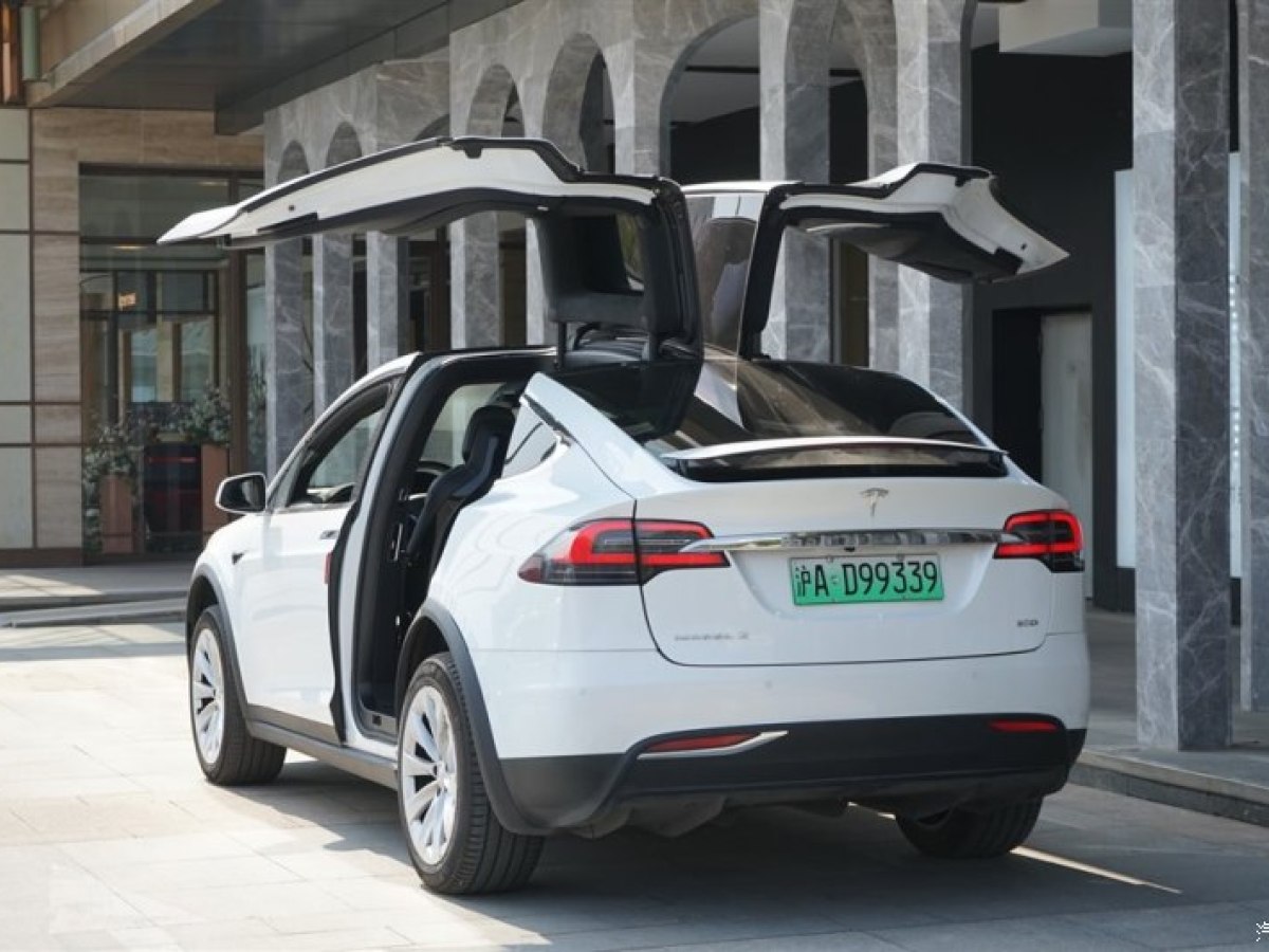 【上海】2017年7月 特斯拉 model x model x(进口 90d 7座 自动档