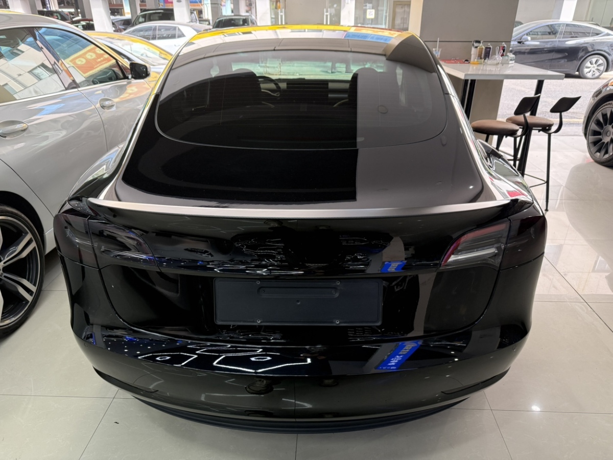 特斯拉 Model 3  2022款 Performance高性能全輪驅(qū)動(dòng)版圖片