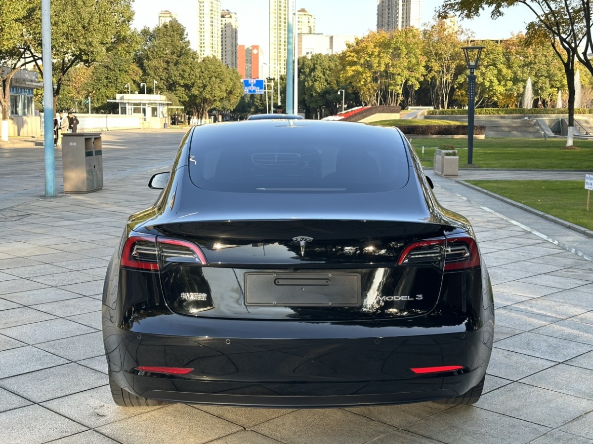 特斯拉 Model 3  2022款 后輪驅(qū)動版圖片