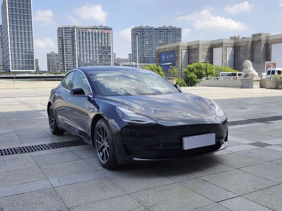 特斯拉 Model 3  2019款 標(biāo)準(zhǔn)續(xù)航后驅(qū)升級版圖片