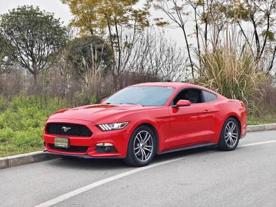 2017年3月 福特 Mustang(進(jìn)口) 2.3T 性能版圖片