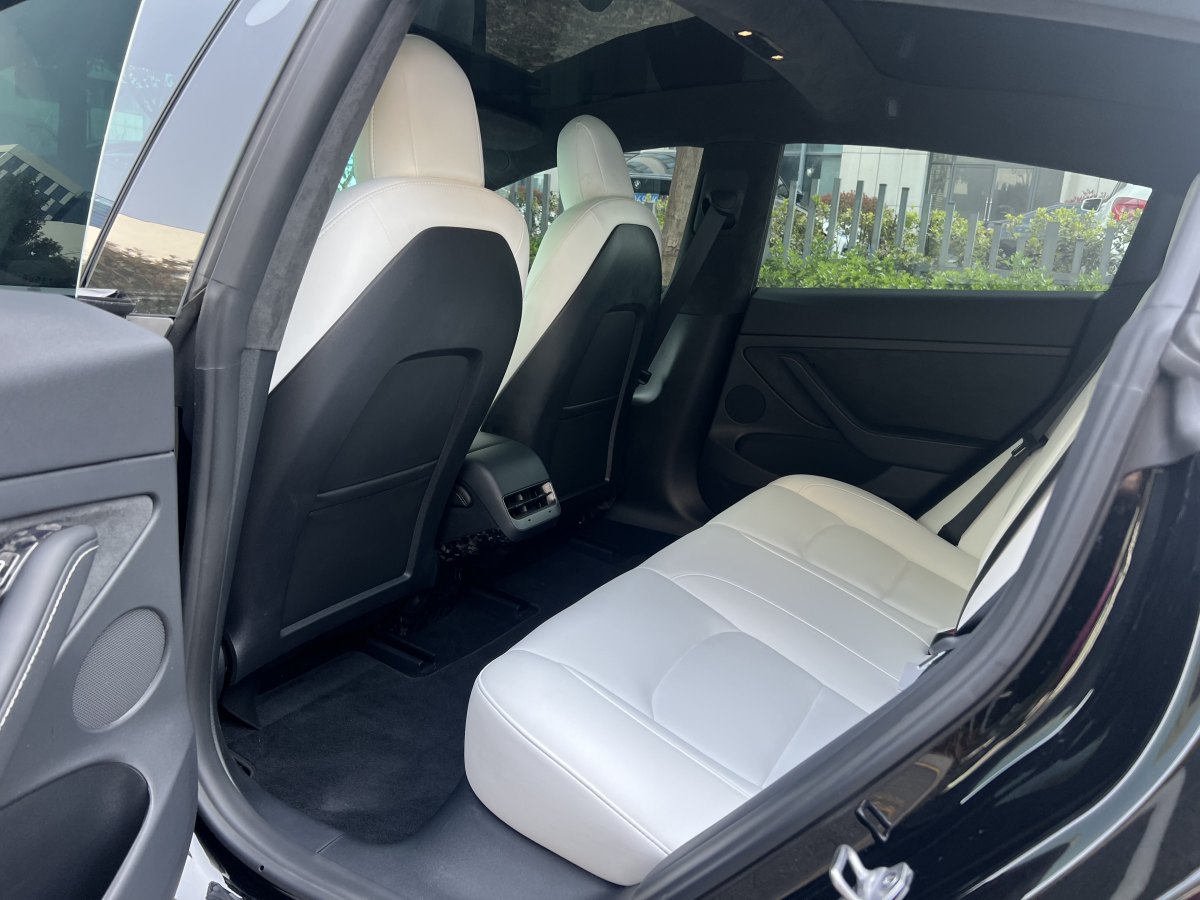 2023年6月特斯拉 Model 3  2019款 Performance高性能全轮驱动版