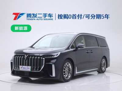 2023年10月 嵐圖 夢想家 PHEV 超長續(xù)航旗艦版圖片