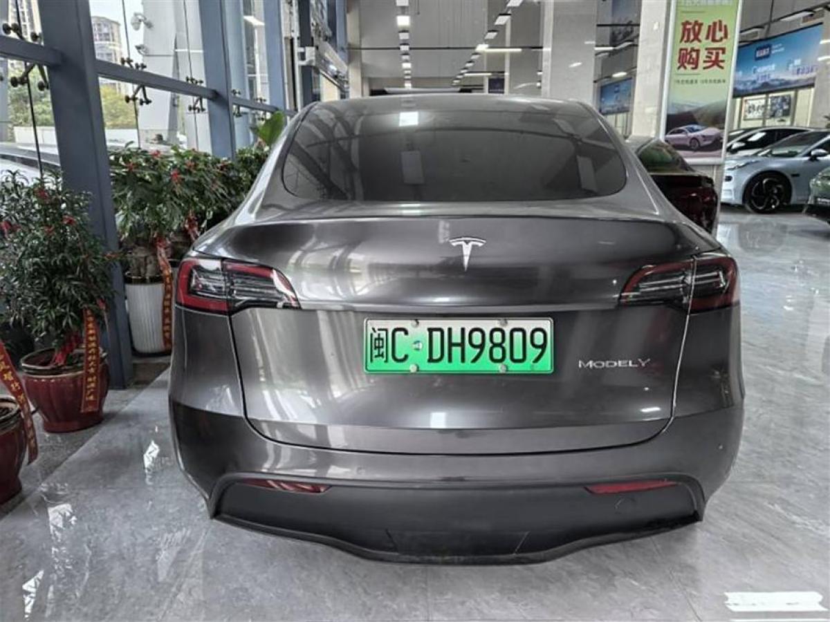 特斯拉 Model 3  2020款 改款 長續(xù)航后輪驅動版圖片