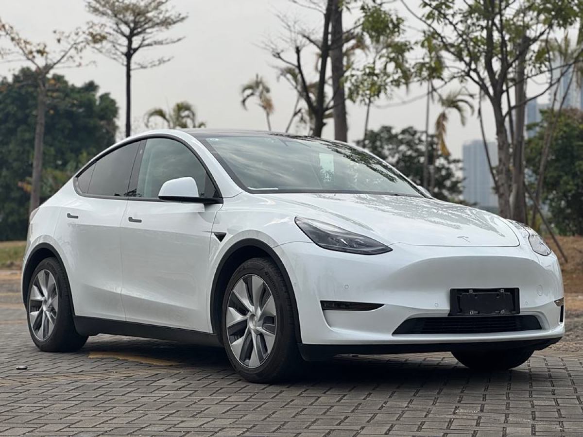 特斯拉 Model 3  2021款 改款 標(biāo)準(zhǔn)續(xù)航后驅(qū)升級(jí)版圖片