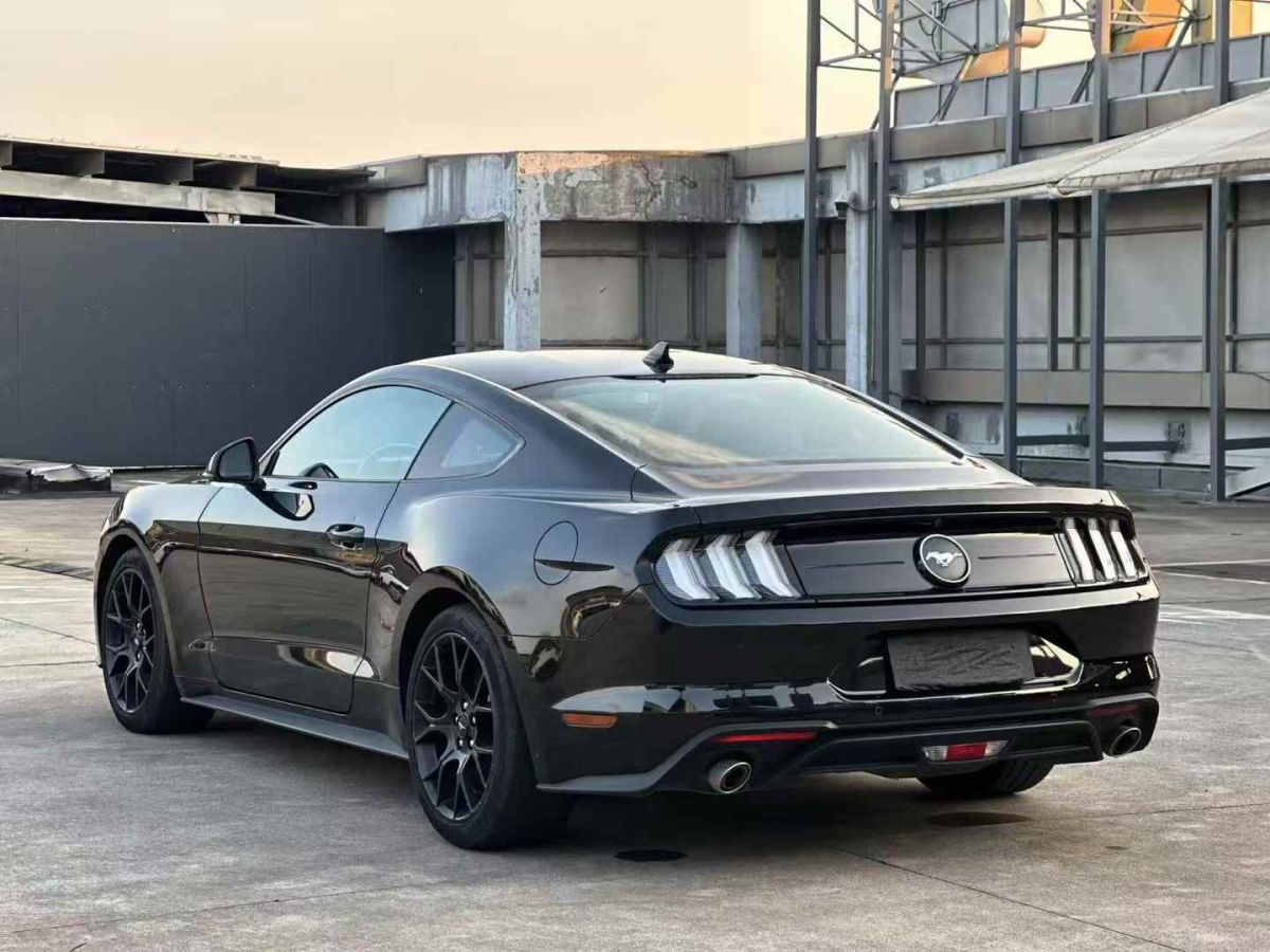 福特 Mustang  2021款 2.3L EcoBoost圖片