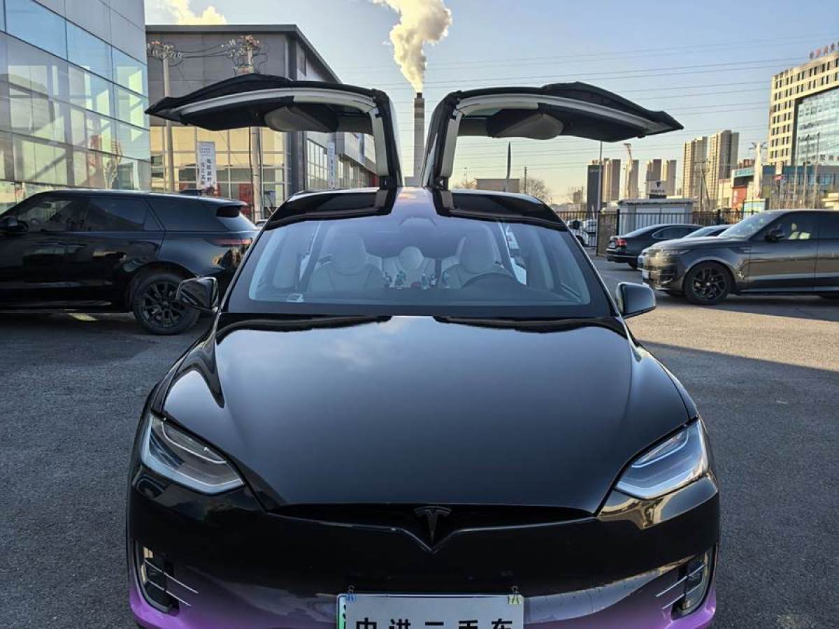 特斯拉 Model X  2019款 長續(xù)航版圖片