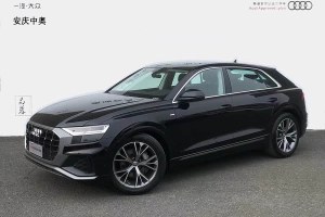奧迪Q8 奧迪 55 TFSI 豪華動(dòng)感型