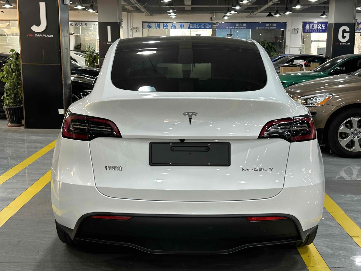 特斯拉 Model Y  2020款 改款 長續(xù)航后輪驅(qū)動版圖片