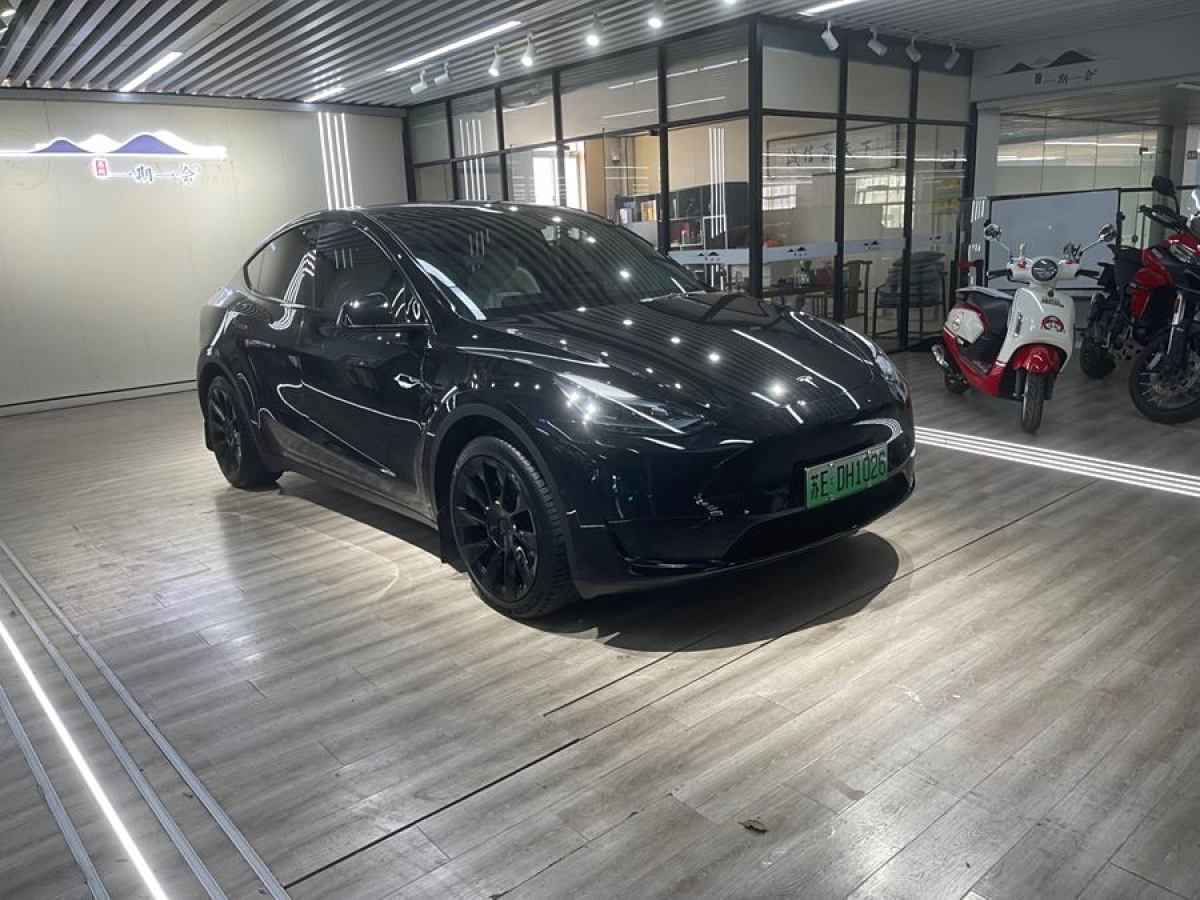 2023年1月特斯拉 Model Y  2020款 改款 長續(xù)航后輪驅(qū)動版