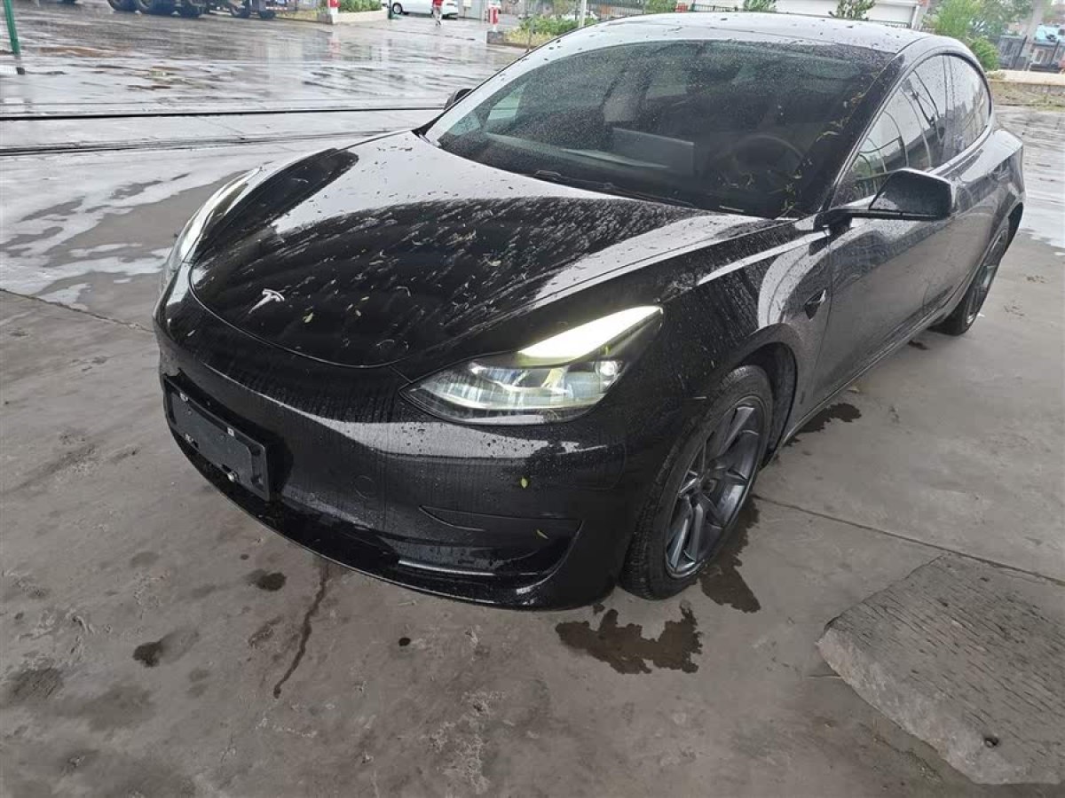 特斯拉 Model 3  2021款 改款 標(biāo)準(zhǔn)續(xù)航后驅(qū)升級(jí)版圖片