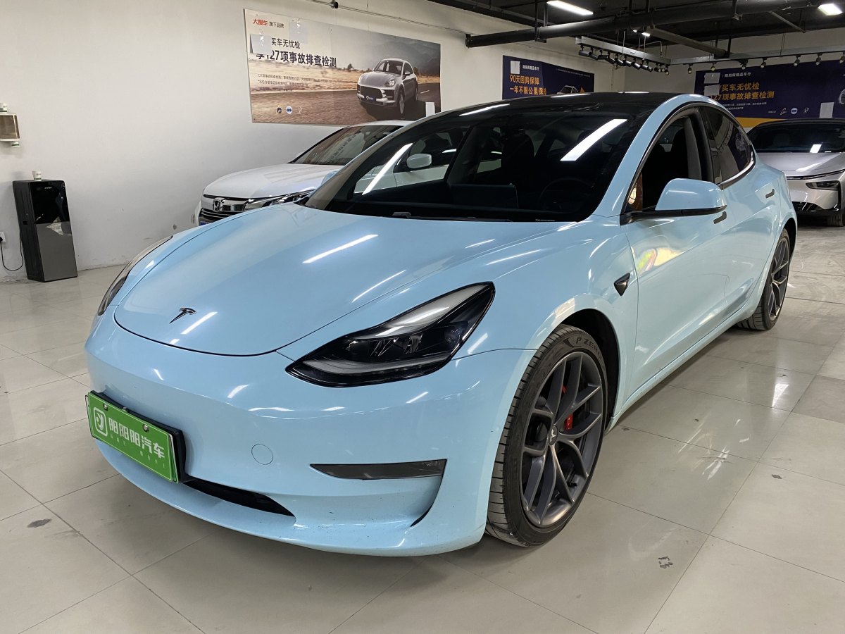 特斯拉 Model 3  2019款 Performance高性能全輪驅(qū)動(dòng)版圖片