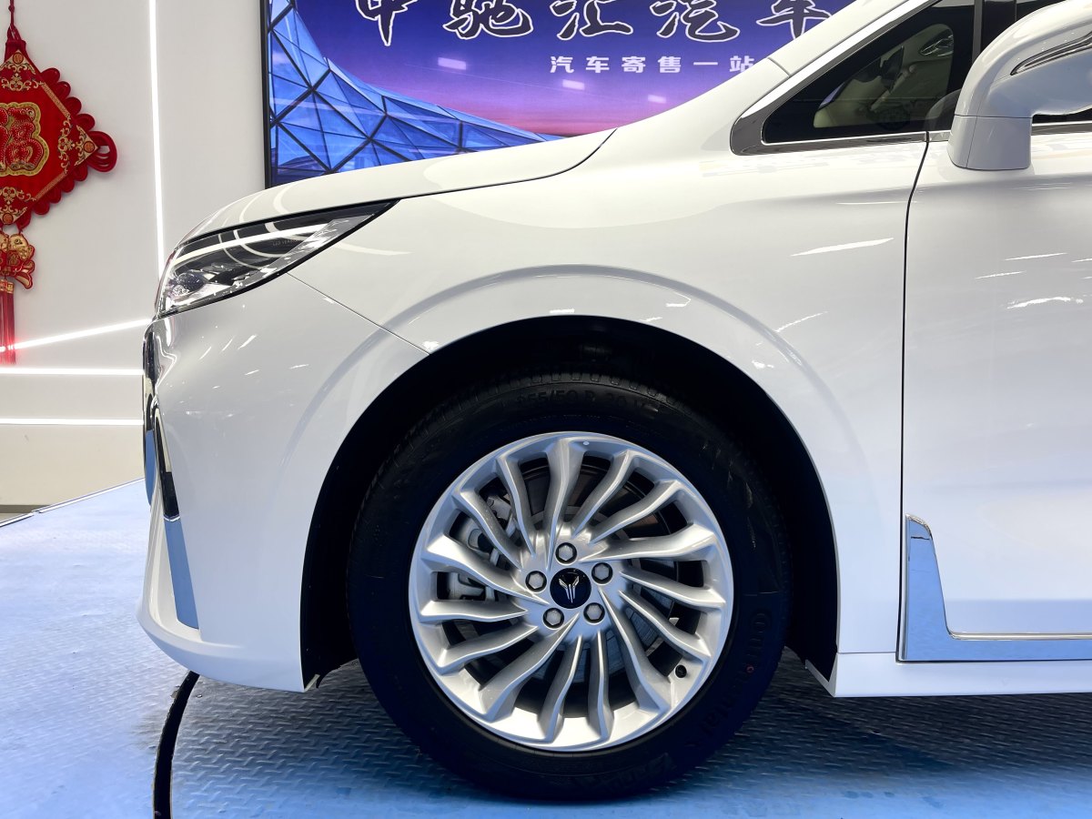 嵐圖 夢想家  2024款 PHEV 超長續(xù)航卓越版圖片