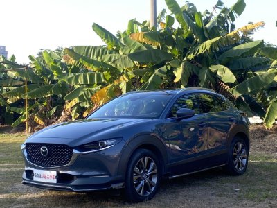 2020年10月 馬自達(dá) CX-30 2.0L X壓燃尊榮型圖片