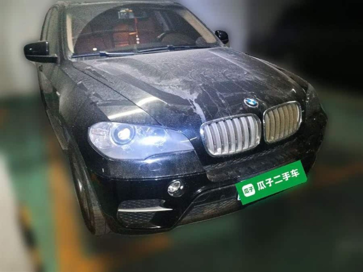 寶馬 寶馬X5  2011款 xDrive35i 領(lǐng)先型圖片