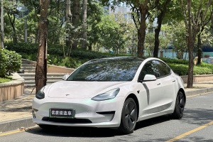 Model 3 特斯拉 改款 標(biāo)準(zhǔn)續(xù)航后驅(qū)升級(jí)版