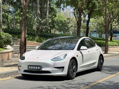 2020年11月 特斯拉 Model 3 改款 標(biāo)準(zhǔn)續(xù)航后驅(qū)升級(jí)版圖片