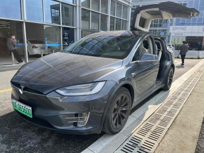 2018年5月 特斯拉 Model X Model X 100D 长续航版图片