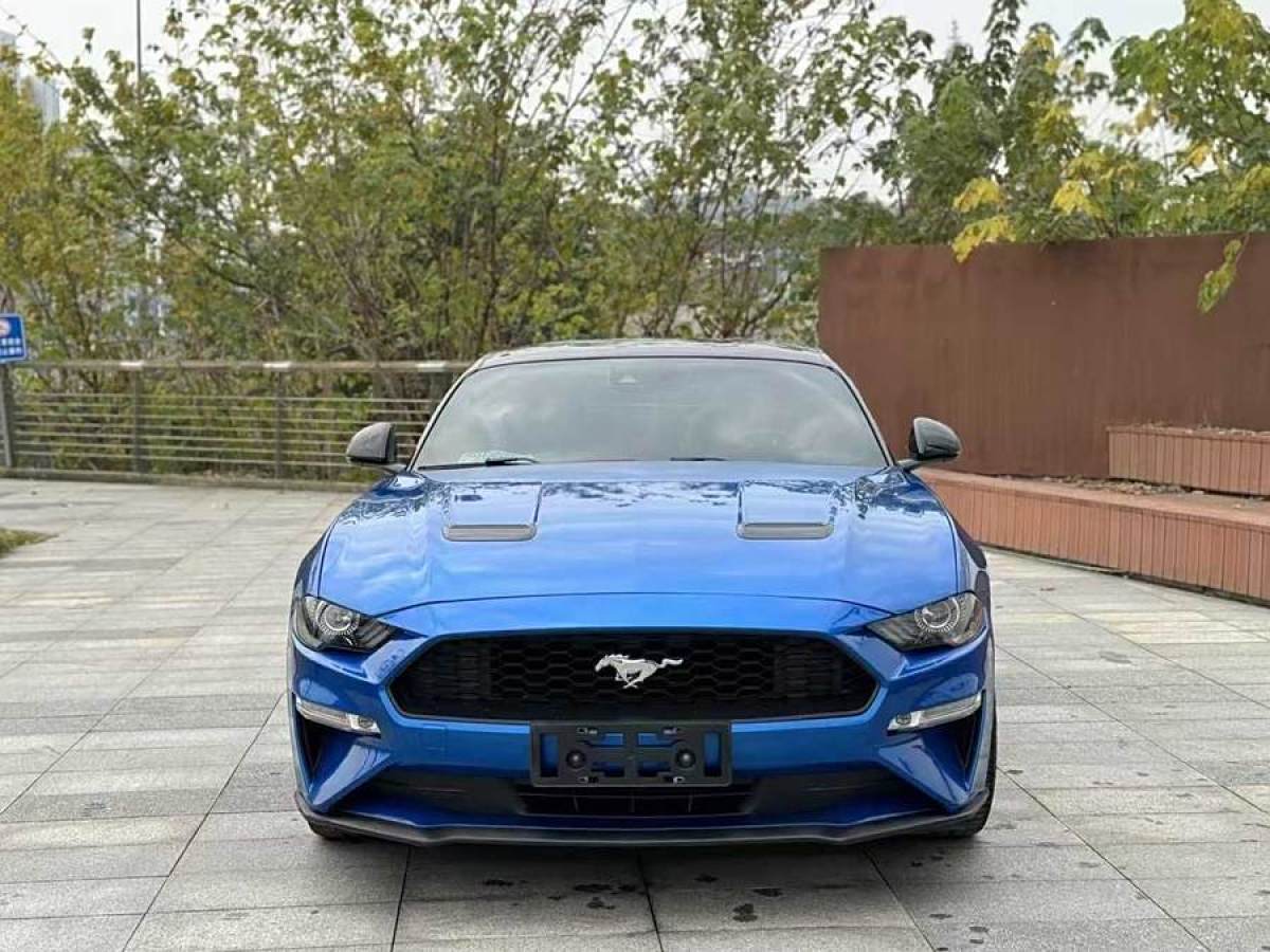 福特 Mustang  2019款 2.3L EcoBoost圖片