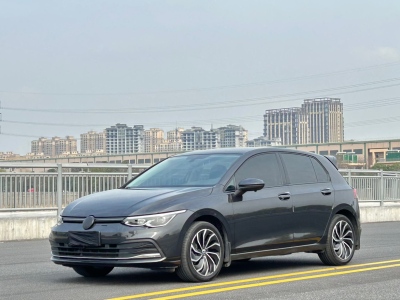 2021年03月 大眾 高爾夫 280TSI DSG Pro 首發(fā)版圖片