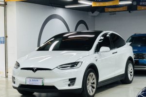 Model X 特斯拉 Model X 100D 长续航版