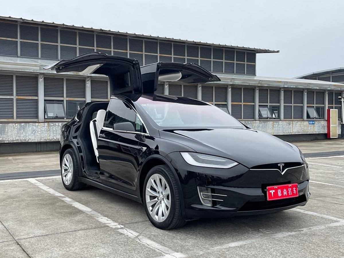 特斯拉 Model X  2017款 Model X 100D 長續(xù)航版圖片