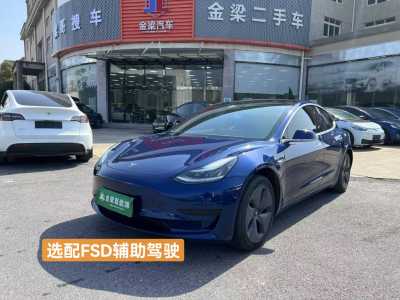 2020年3月 特斯拉 Model 3 標(biāo)準(zhǔn)續(xù)航后驅(qū)升級版圖片