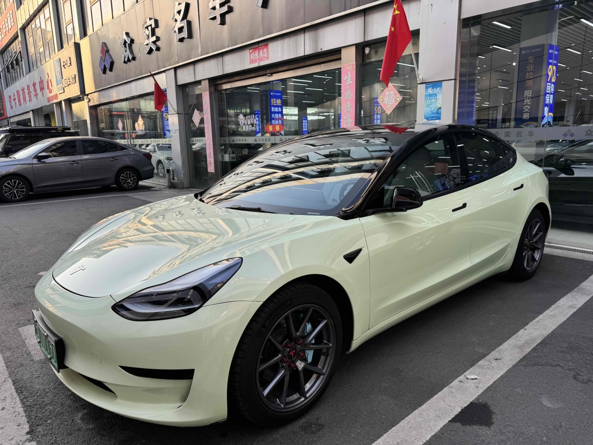 特斯拉 Model 3  2021款 改款 標(biāo)準(zhǔn)續(xù)航后驅(qū)升級(jí)版圖片