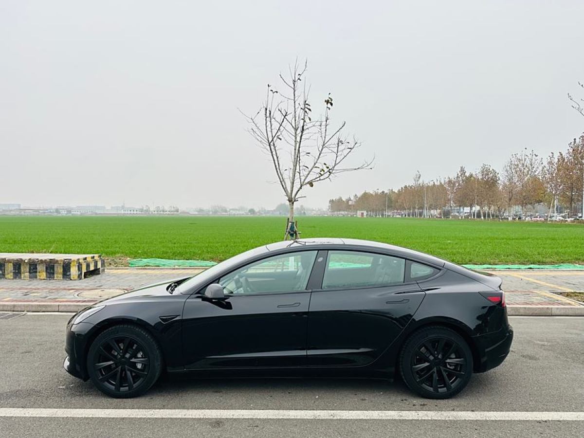 特斯拉 Model 3  2021款 改款 標準續(xù)航后驅升級版圖片