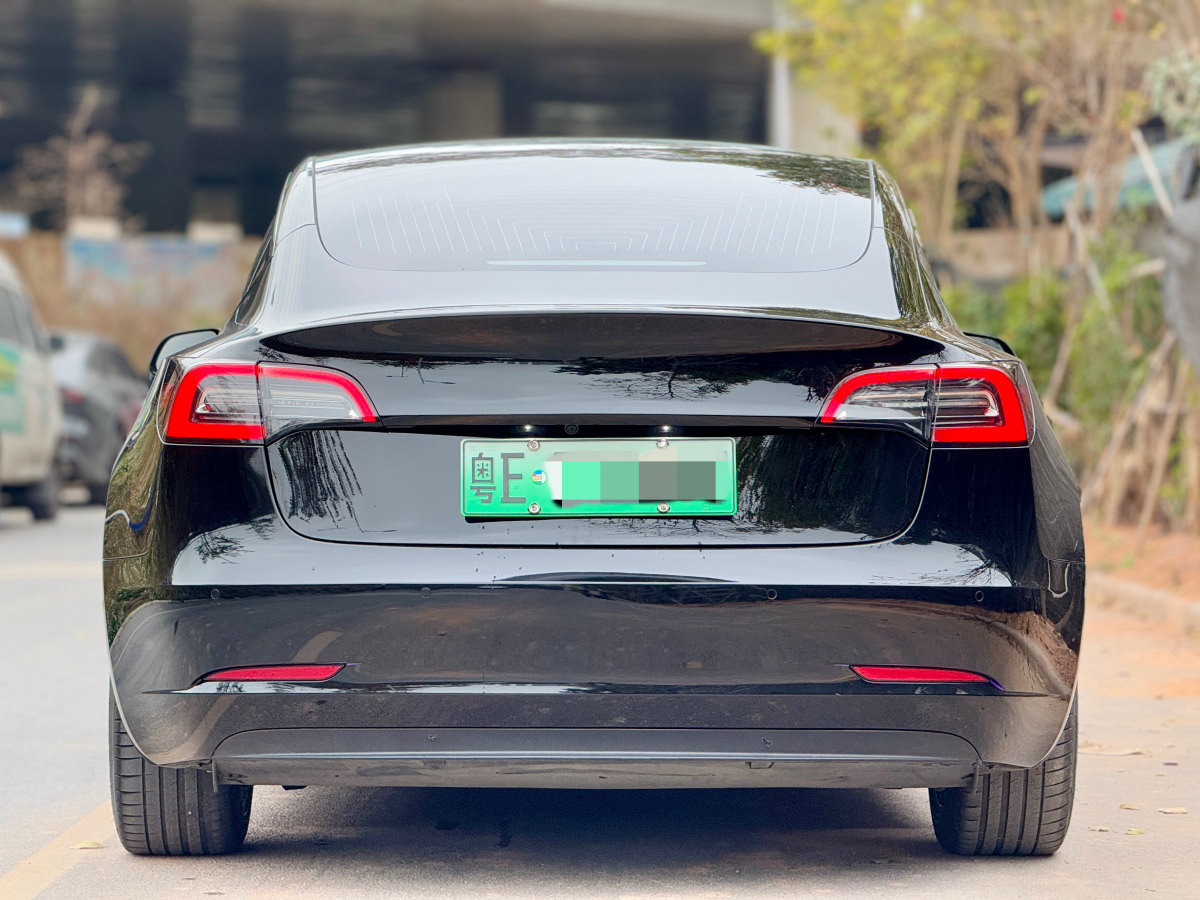 特斯拉 Model 3  2020款 改款 標(biāo)準(zhǔn)續(xù)航后驅(qū)升級(jí)版圖片