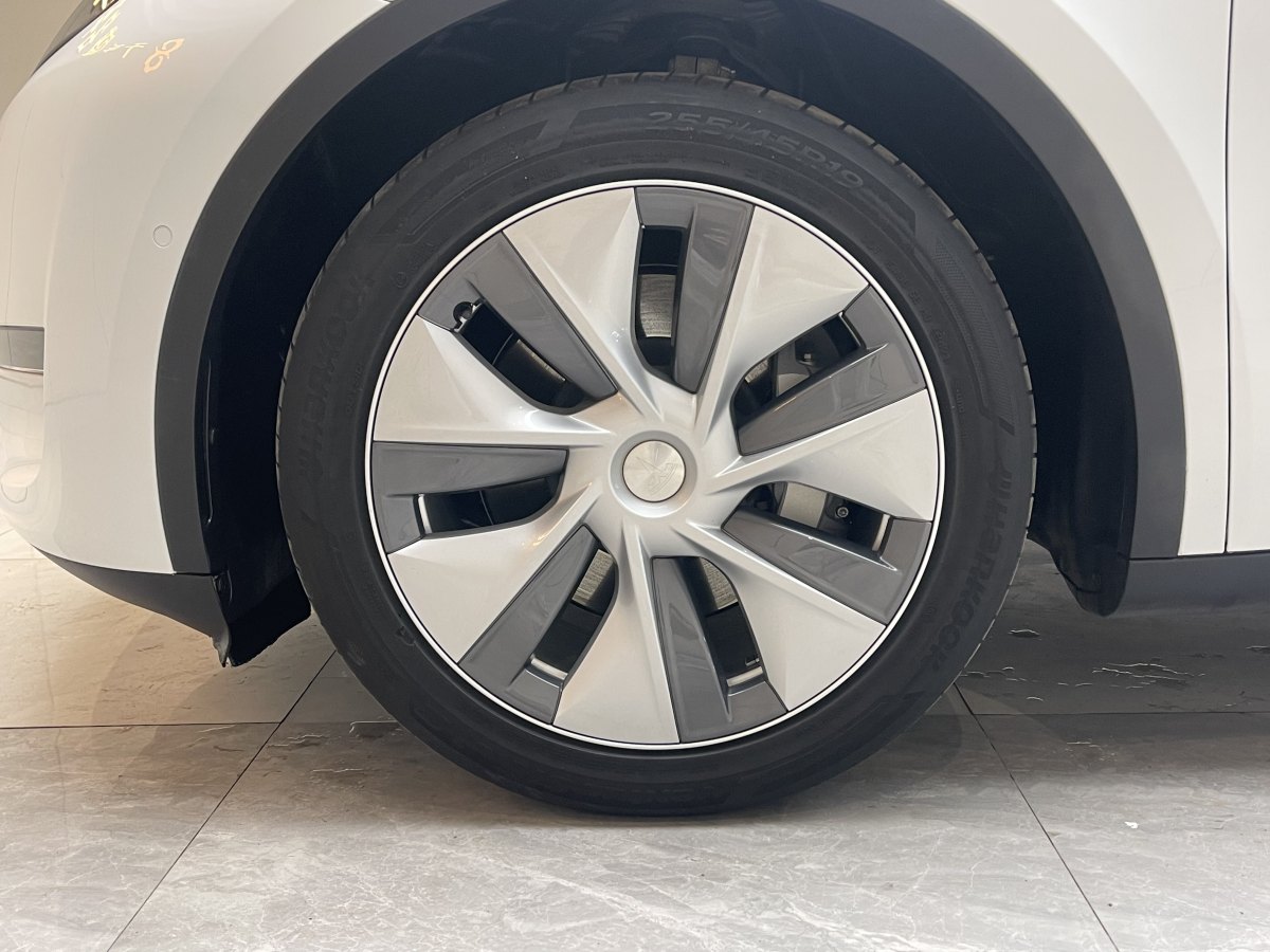 特斯拉 Model Y  2021款 標(biāo)準(zhǔn)續(xù)航后驅(qū)版圖片