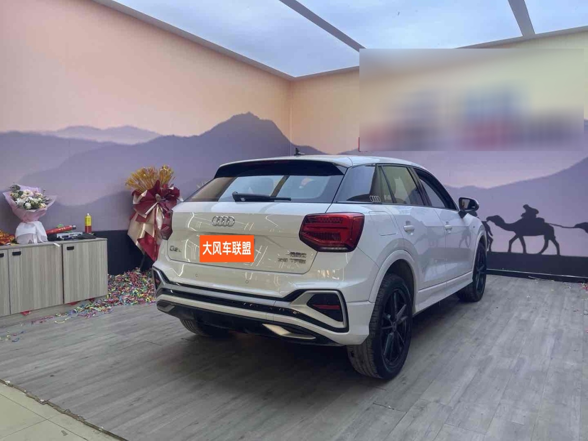 奧迪 奧迪Q2L  2024款 35TFSI 進(jìn)取動(dòng)感型圖片