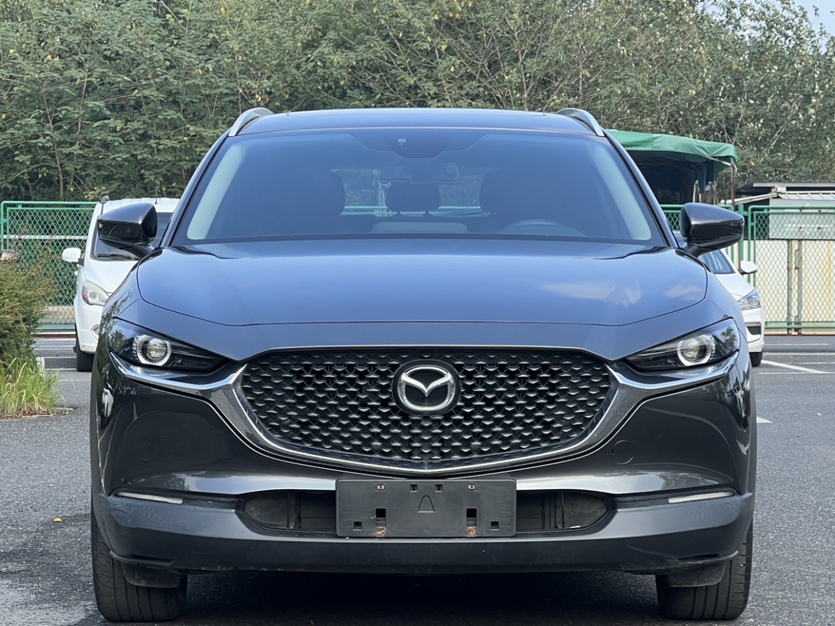 馬自達(dá) CX-30  2020款 2.0L 自動質(zhì)悅型圖片