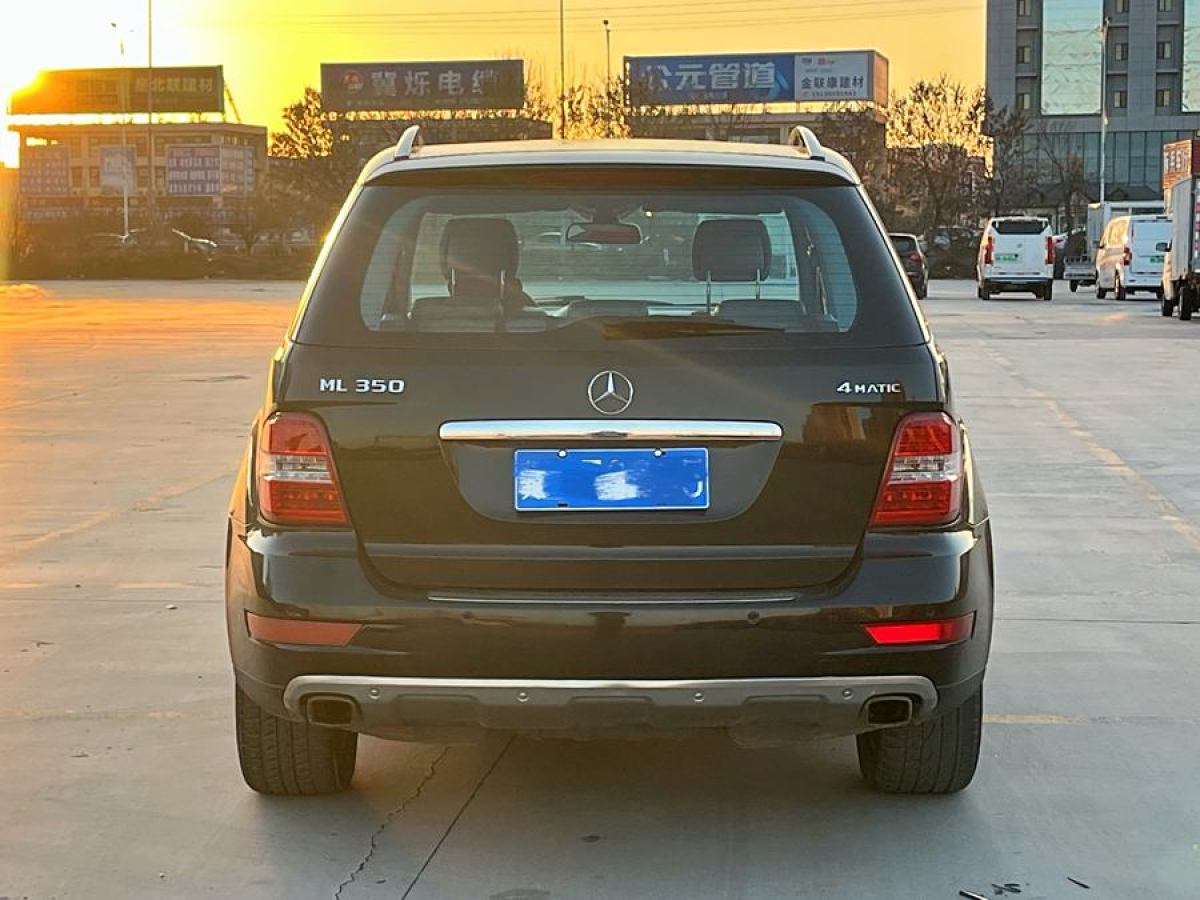 奔馳 奔馳M級(jí)  2010款 ML 350 4MATIC豪華型圖片