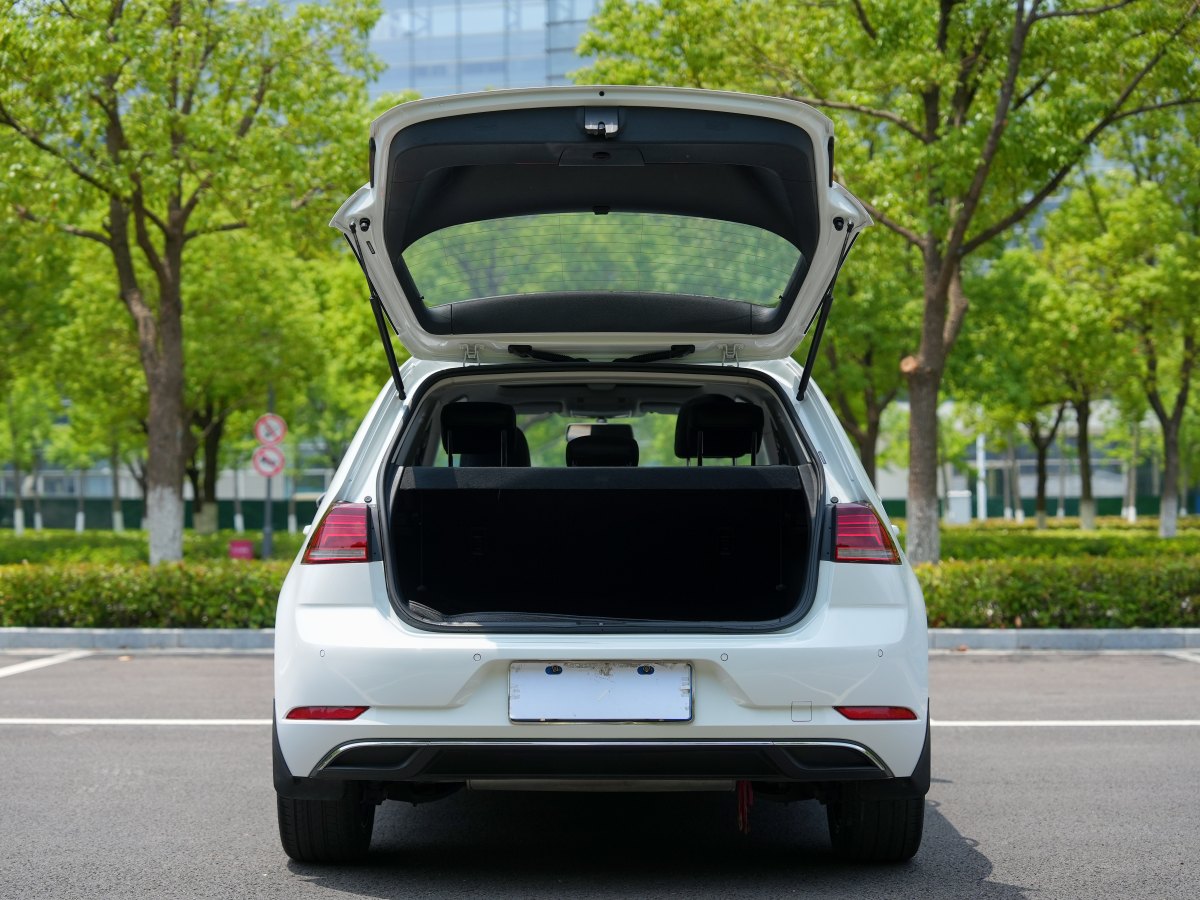 2020年3月大眾 高爾夫  2019款  200TSI DSG舒適進(jìn)取版 國(guó)VI