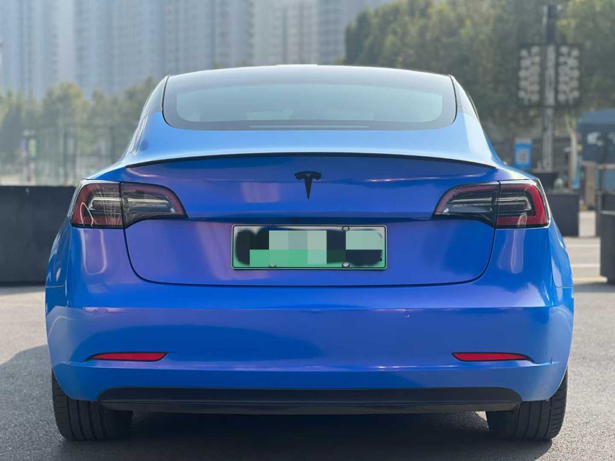 特斯拉 Model S  2021款 Performance 高性能版圖片