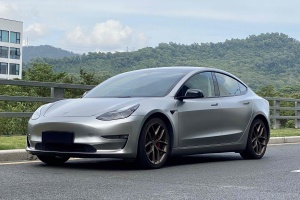 Model 3 特斯拉 Performance高性能全轮驱动版