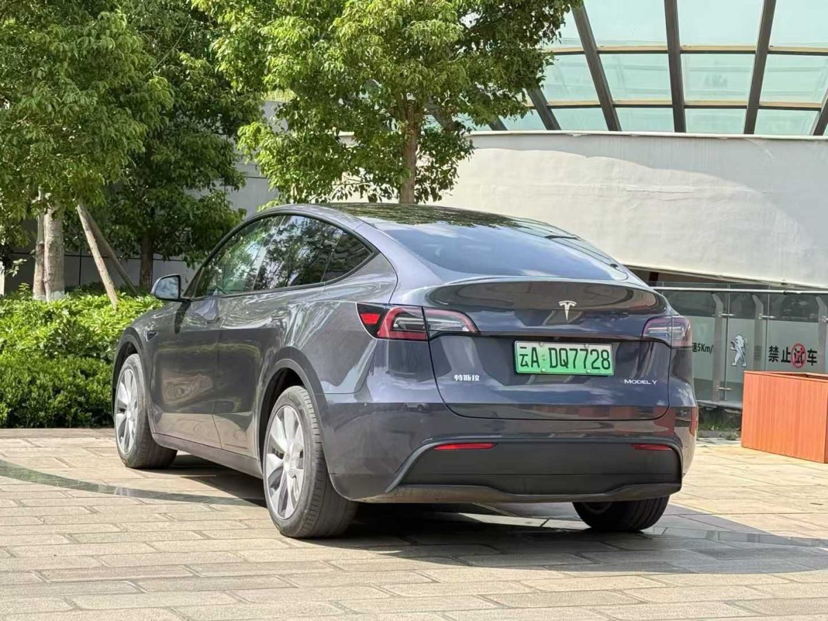 特斯拉 Model S  2023款 三電機(jī)全輪驅(qū)動(dòng) Plaid版圖片