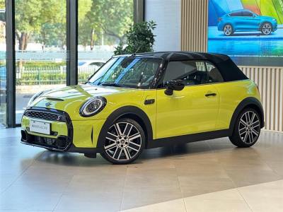 2023年10月 MINI MINI 2.0T COOPER S CABRIO 艺术家图片